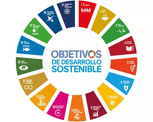 Los 17 objetivos de Desarrollo Sostenible.